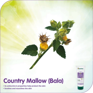 Himalaya Gentle Baby Cream 50Ml