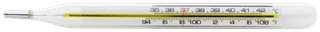 Hicks Oval Clinical Thermometer 1