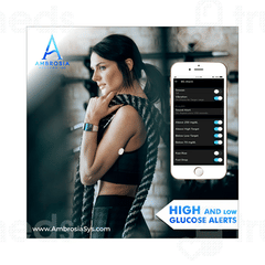 Ambrosia Systems Inc Waterproof Night Rider 1