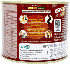 Grd Bix Chocolate Flavoured Protein Diskettes 250gm