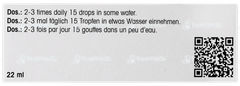 Dr Reckeweg R41 Drops 22ml