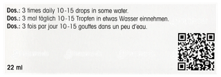Dr Reckeweg R42 Drops 22ml