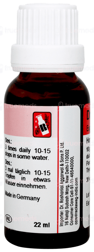 Dr Reckeweg R19 Euglandin M Glandular For Men Drops 22ml