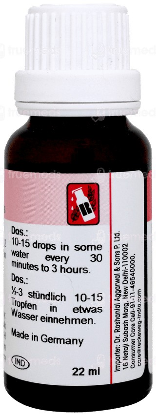 Dr Reckeweg R69 For Pain Between The Ribs Drop 22 ML