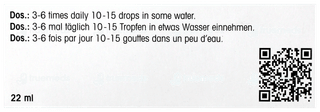 Dr Reckeweg R2 Drops 22ml