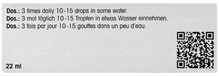 Dr Reckeweg R22 Drops 22ml