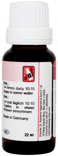 Dr Reckeweg R72 Pancreas Drop 22 ML
