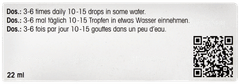Dr Reckeweg R12 Drops 22ml