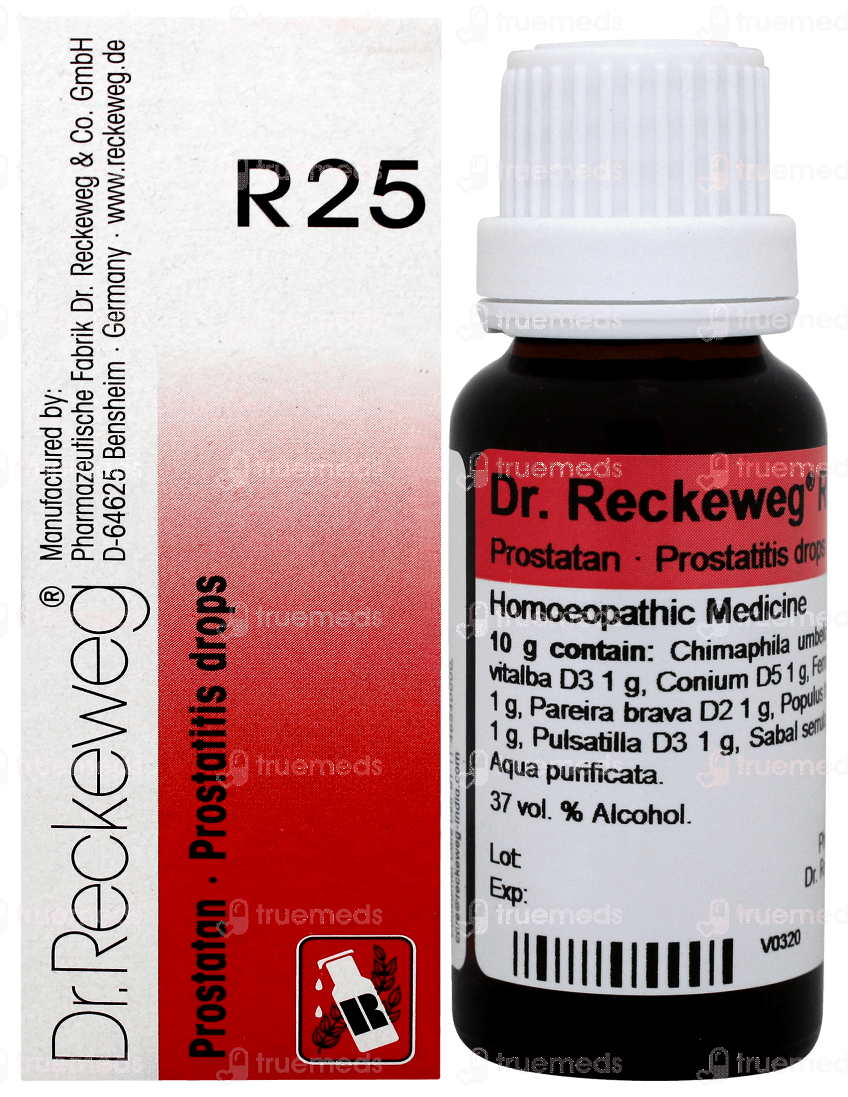 zimmerpflanzen set online kaufen Rette mich: Zimmerpflanzen 12er Set kaufen main image 1