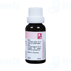 Dr Reckeweg R26 Draining And Stimulating Drop 22 ML