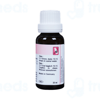 Dr Reckeweg R26 Draining And Stimulating Drop 22 ML