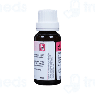 Dr Reckeweg R26 Draining And Stimulating Drop 22 ML