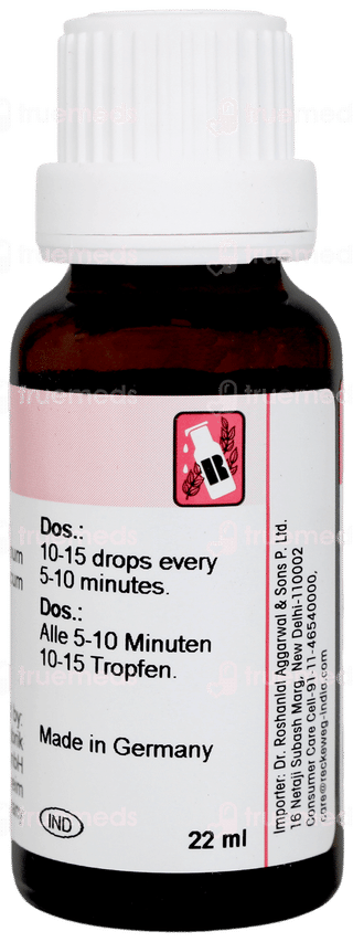 Dr Reckeweg R52 Travel Sickness Drop 22 ML