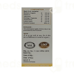 Wheezal Wg2 Kidney Health Gold Drop 30 ML