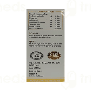Wheezal Wg2 Kidney Health Gold Drop 30 ML