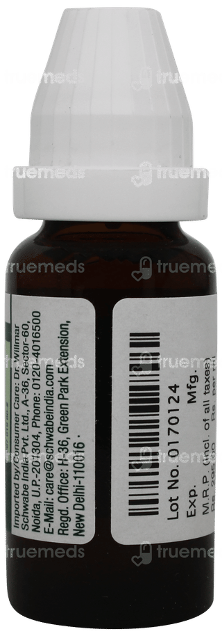 Dr Willmar Carduus Marianus Pentarkan Ptk 23 Drop 20 ML