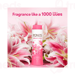 Ponds Dreamflower Pink Lily Fragrant Talcum Powder 100gm