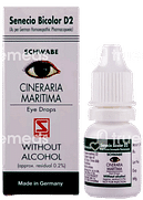 Dr Willmar Cineraria Maritima Without Alcohol Eye Drops 10ml