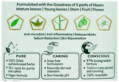 Himalaya New Purifying Neem Face Wash 100Ml