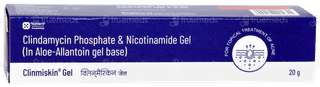 Clinmiskin Gel 20gm