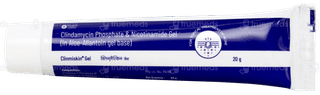 Clinmiskin Gel 20gm