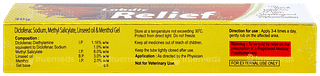 Labdic Relief Gel 30gm