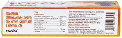 Volini Pain Relief Gel 10gm
