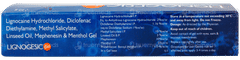 Lignogesic Gel 30gm