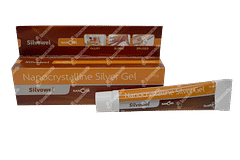 Silvowel Nano Gel 10 GM