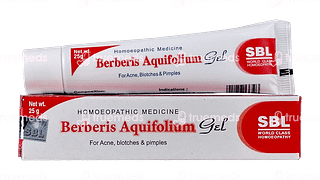 Sbl Berberis Aquifolium Gel 25 GM