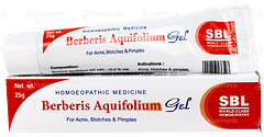 Sbl Berberis Aquifolium Gel 25gm Sbl Berberis Aquifolium Gel 25gm