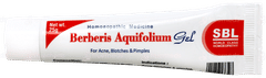 Sbl Berberis Aquifolium Gel 25gm Sbl Berberis Aquifolium Gel 25gm