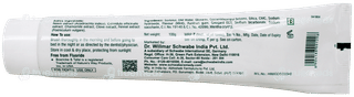 Boericke & Tafel Dental Care Gel 100Gm