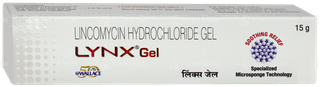 Lynx Gel 15gm