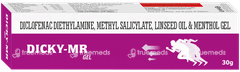 Dicky Mr Gel 30gm Dicky Mr Gel 30gm