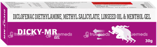Dicky Mr Gel 30gm