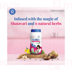 Galact Elaichi Flavour Granules 400gm