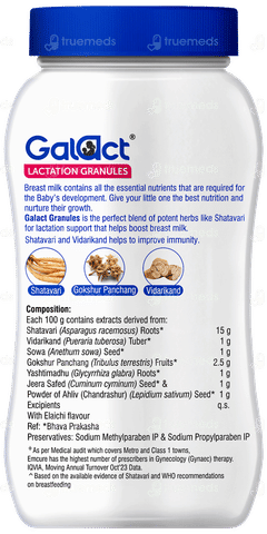 Galact Chocolate Flavour Granules 400gm