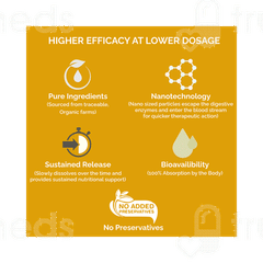 Zeroharm Sciences Holistic Curcumin Ncm 100 Granules 110gm