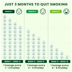 Nixit 2mg Frost Mint Flavour Sugar Free Nicotine Gums 10 Nixit 2mg Frost Mint Flavour Sugar Free Nicotine Gums 10