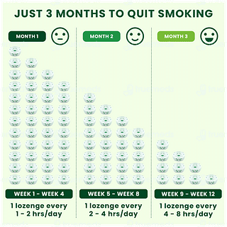 Nixit 2mg Frost Mint Flavour Sugar Free Nicotine Gums 10