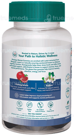 Himalaya Mentat Mango Flavor Gummies 30