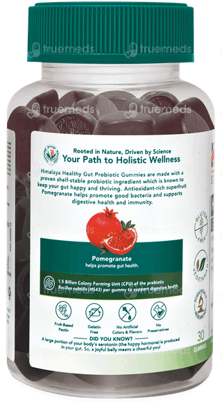Himalaya Healthy Gut Probiotic Gummies 30