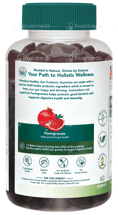 Himalaya Healthy Gut Probiotic Gummies 60