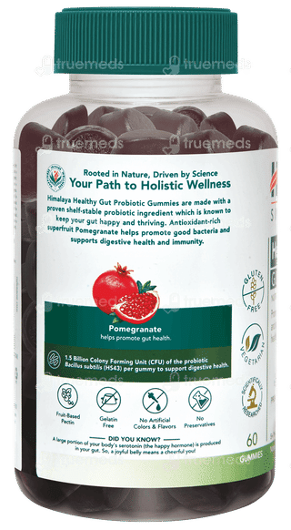 Himalaya Healthy Gut Probiotic Gummies 60