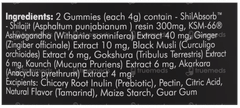 Man Matters Shilajit Tamarind Flavour No Added Sugar Gummies 60