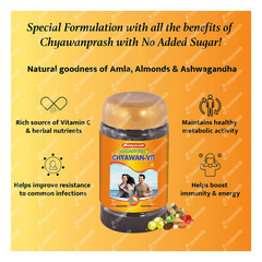 Baidyanath Sugar Free Chyawan Vit 500gm
