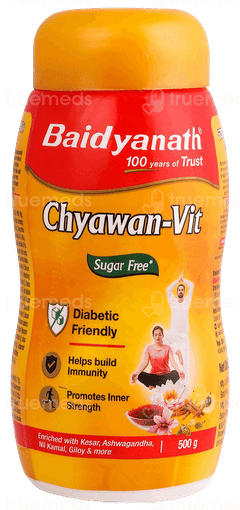 Baidyanath Sugar Free Chyawan Vit 500Gm