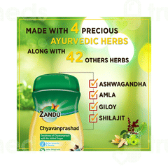 Zandu Chyavanprashad No Added Sugar 450gm