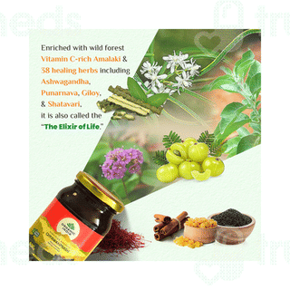 Organic India Chyawanprash 500Gm